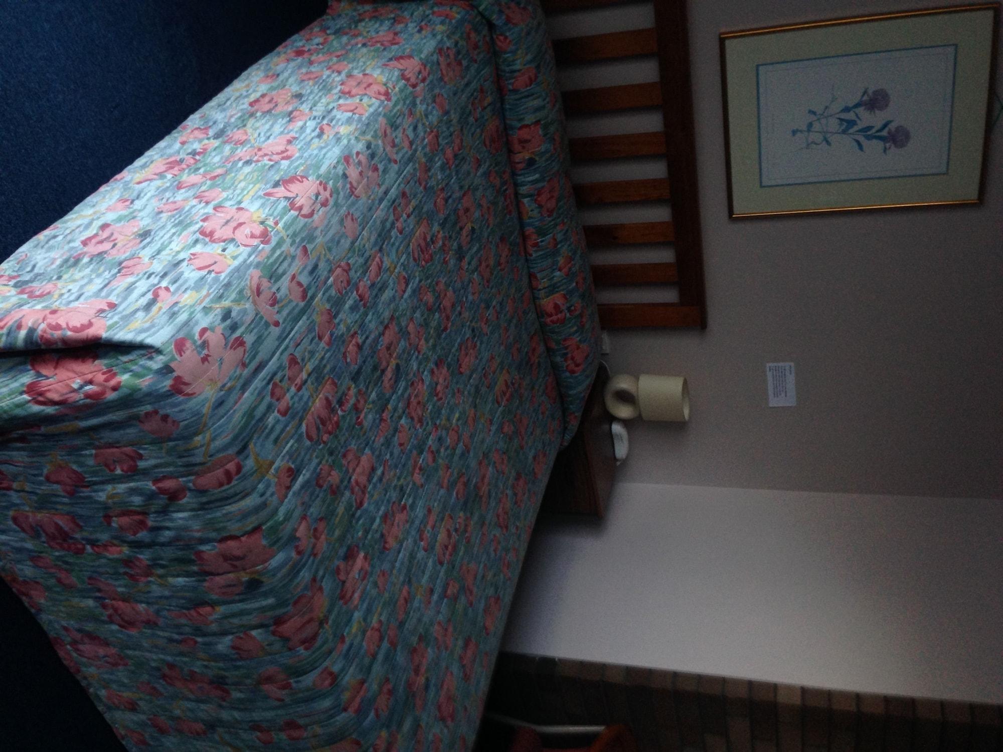 וולונגונג Downtown Motel מראה חיצוני תמונה